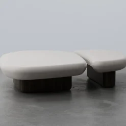 Set Of 2 Kawa Walnut Coffee Tables