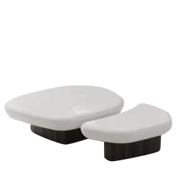 Set Of 2 Kawa Walnut Coffee Tables