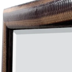 Specchio scuro di pitone