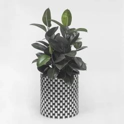 Splot4flowers Cachepot ottico nero