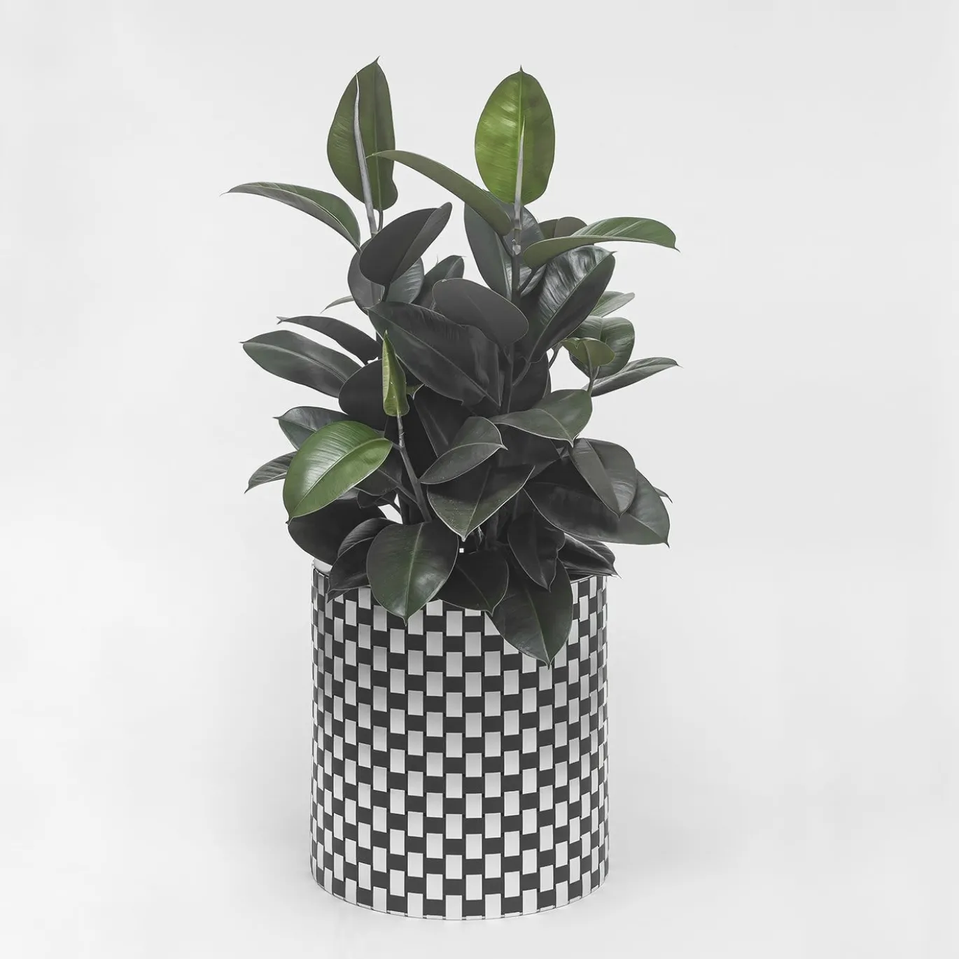 Splot4flowers Cachepot ottico nero