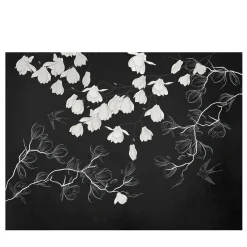 Spring White Row Carta da parati