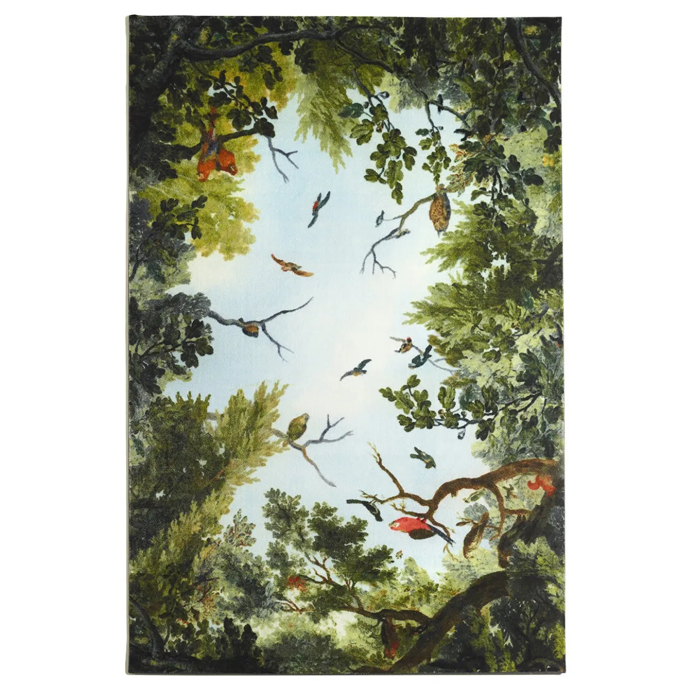 Tappeto Cielo & Terra Bird di Marcantonio