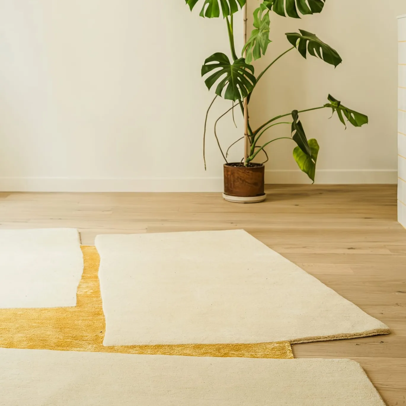 Tappeto Lettera Aperta Beige e Giallo Annodato a Mano