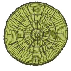 Tappeto Rotondo The Tree Calendar in Lana Verde