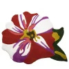 Tappeto Scarabeo Flower Policromo di Ken Scott