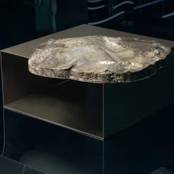 Tavolino Antarticos