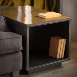 The Modernist Coffe Table