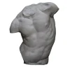 Torso di Gaddi Scultura in gesso