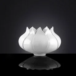 Tulipano Vaso piccolo bianco