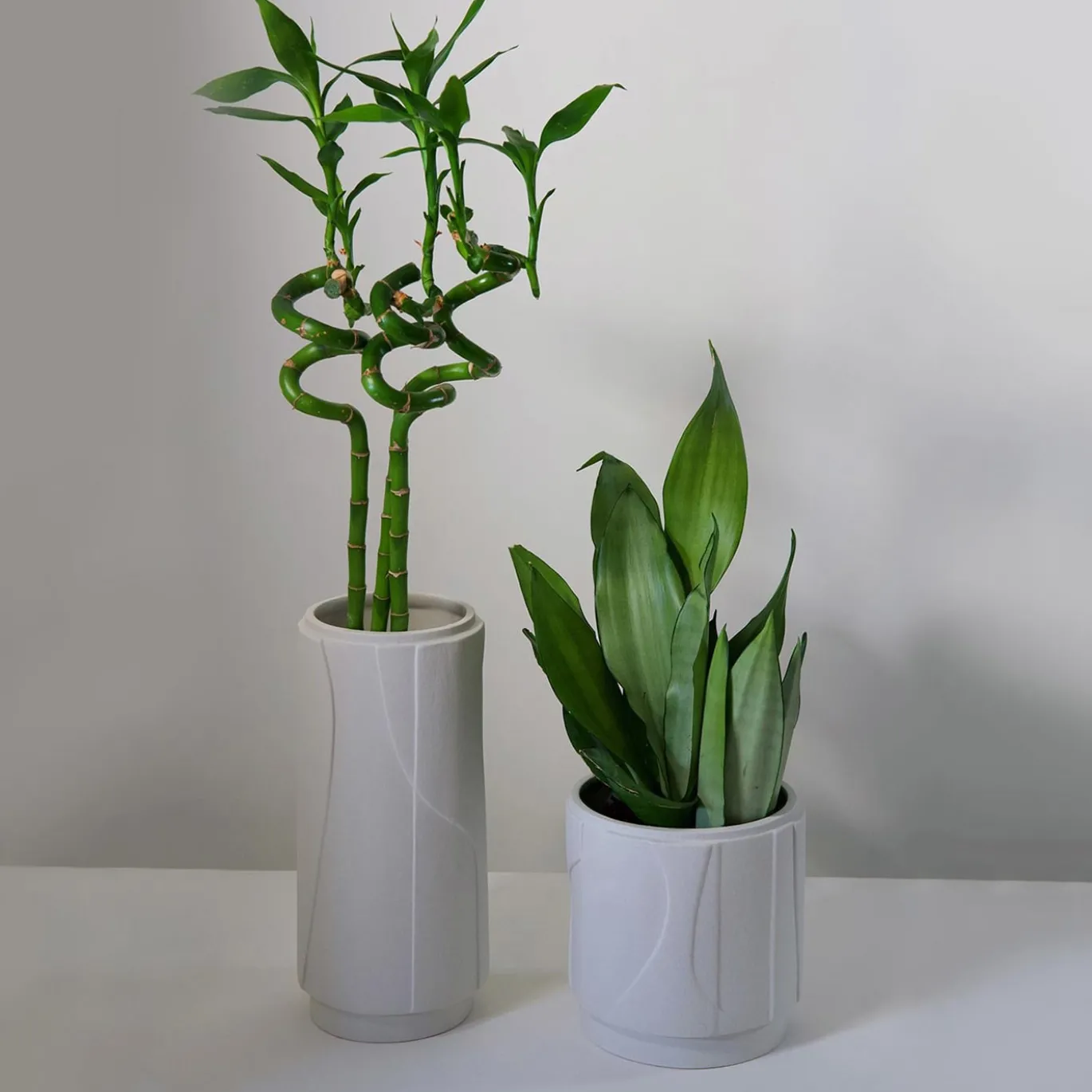 Vaso Aura grande