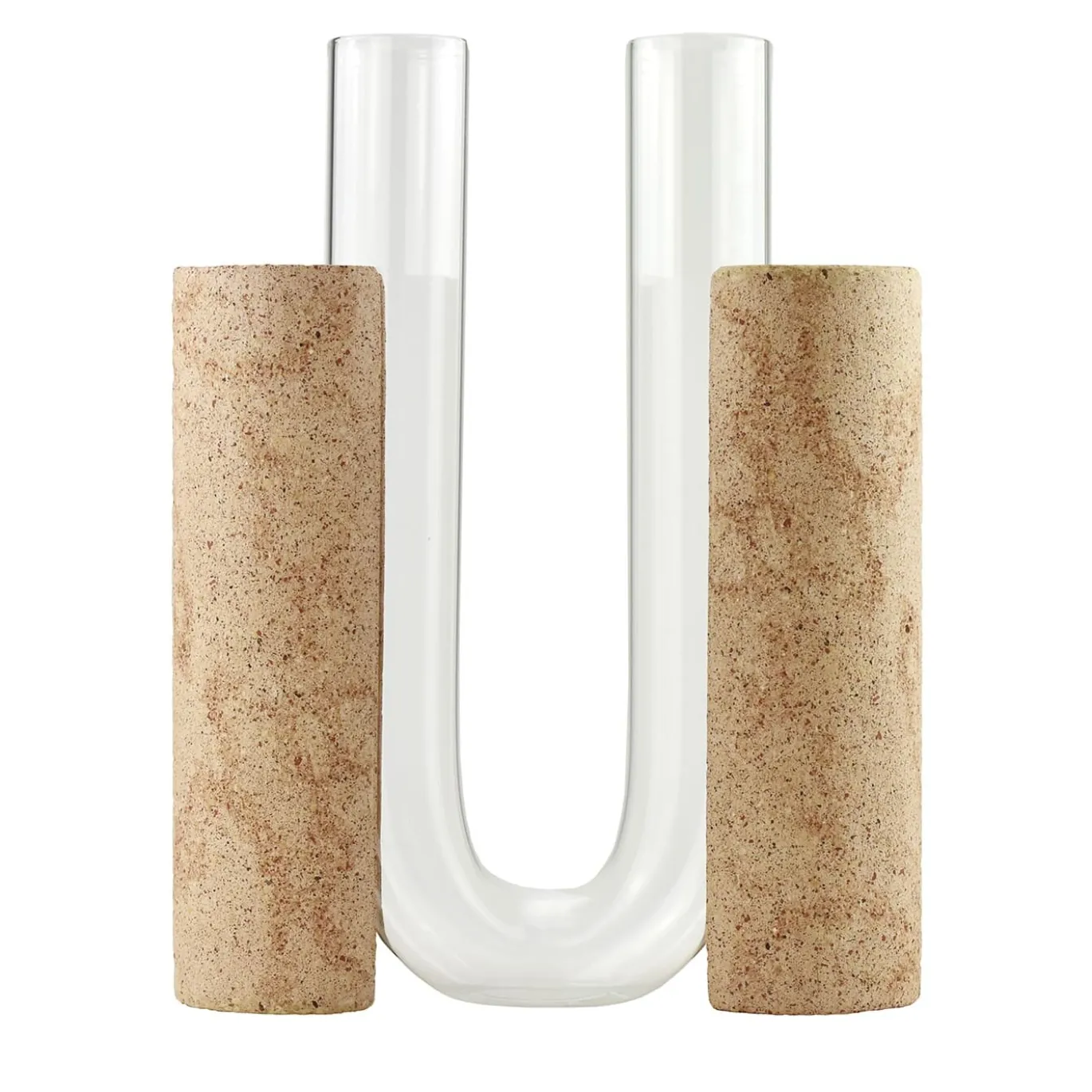 Vaso bianco Cochlea dello Sviluppo