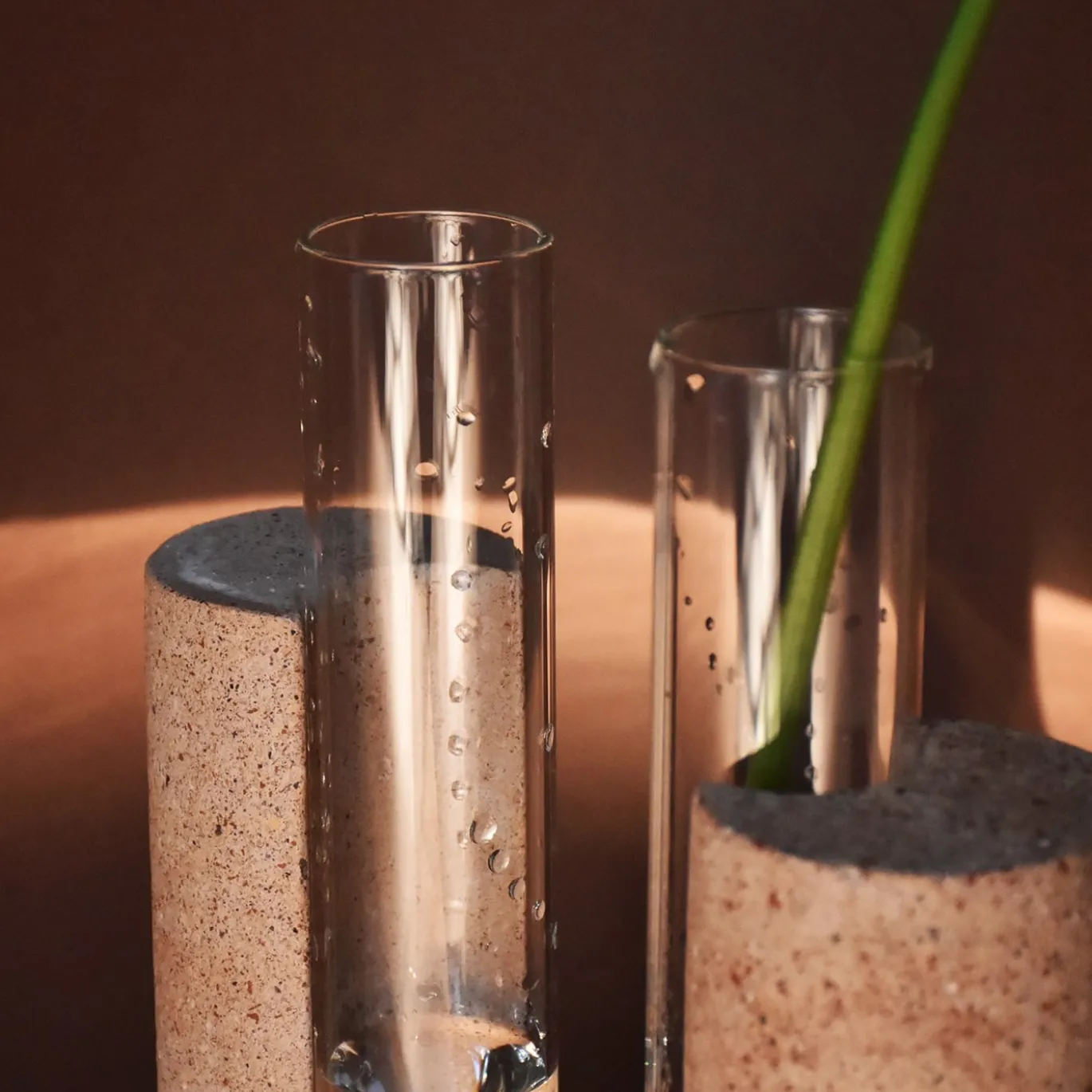 Vaso bianco Cochlea dello Sviluppo