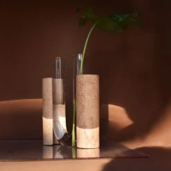 Vaso bianco Cochlea dello Sviluppo