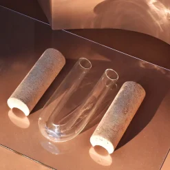 Vaso bianco Cochlea dello Sviluppo