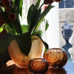 Vaso Bocia Miele