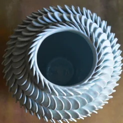 Vaso Calandrinia