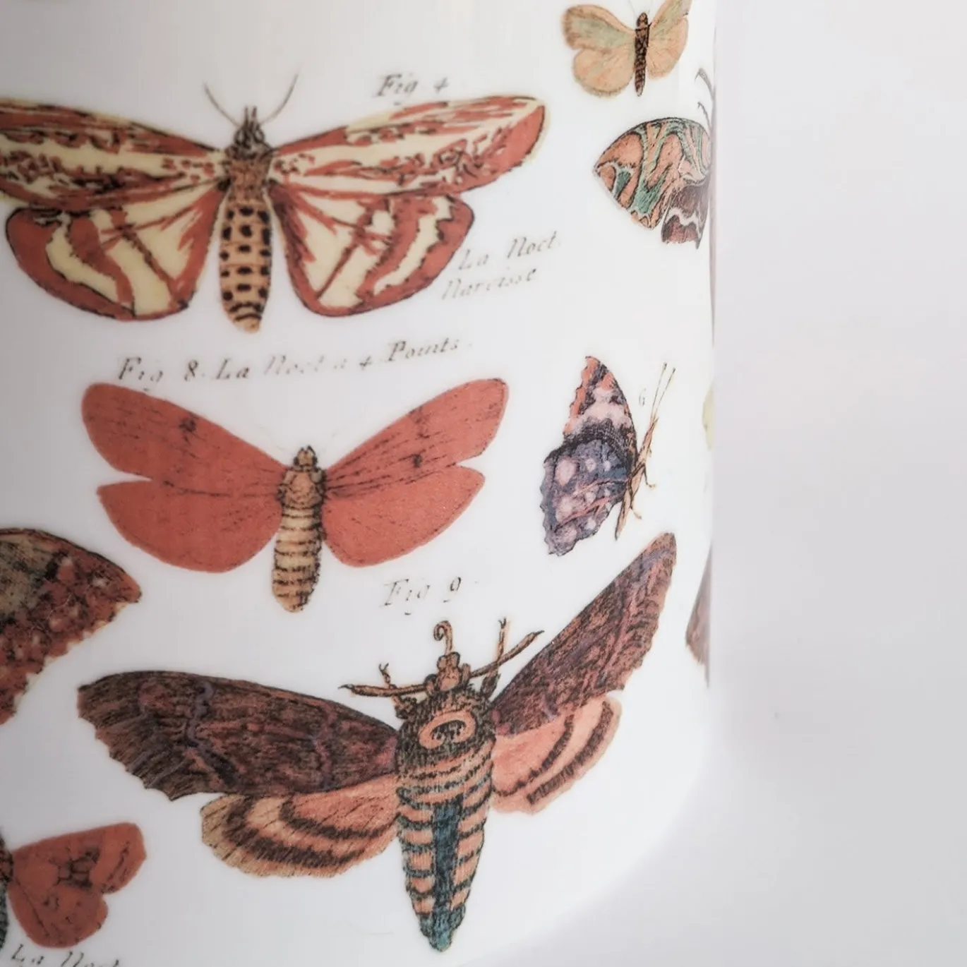 Vaso cilindrico in porcellana Butterflies