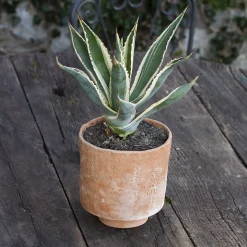 Vaso Cilindrico in Terracotta