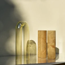 Vaso Cochlea dello Sviluppo