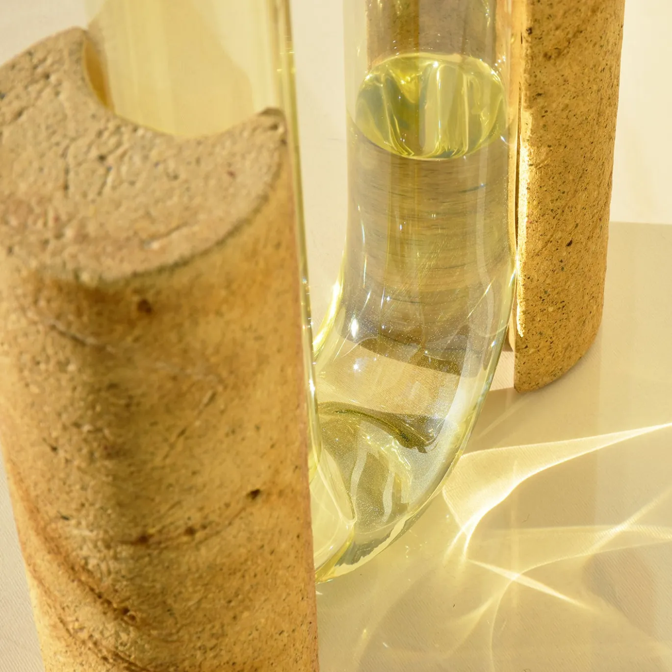 Vaso Cochlea dello Sviluppo