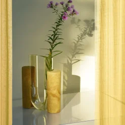 Vaso Cochlea dello Sviluppo