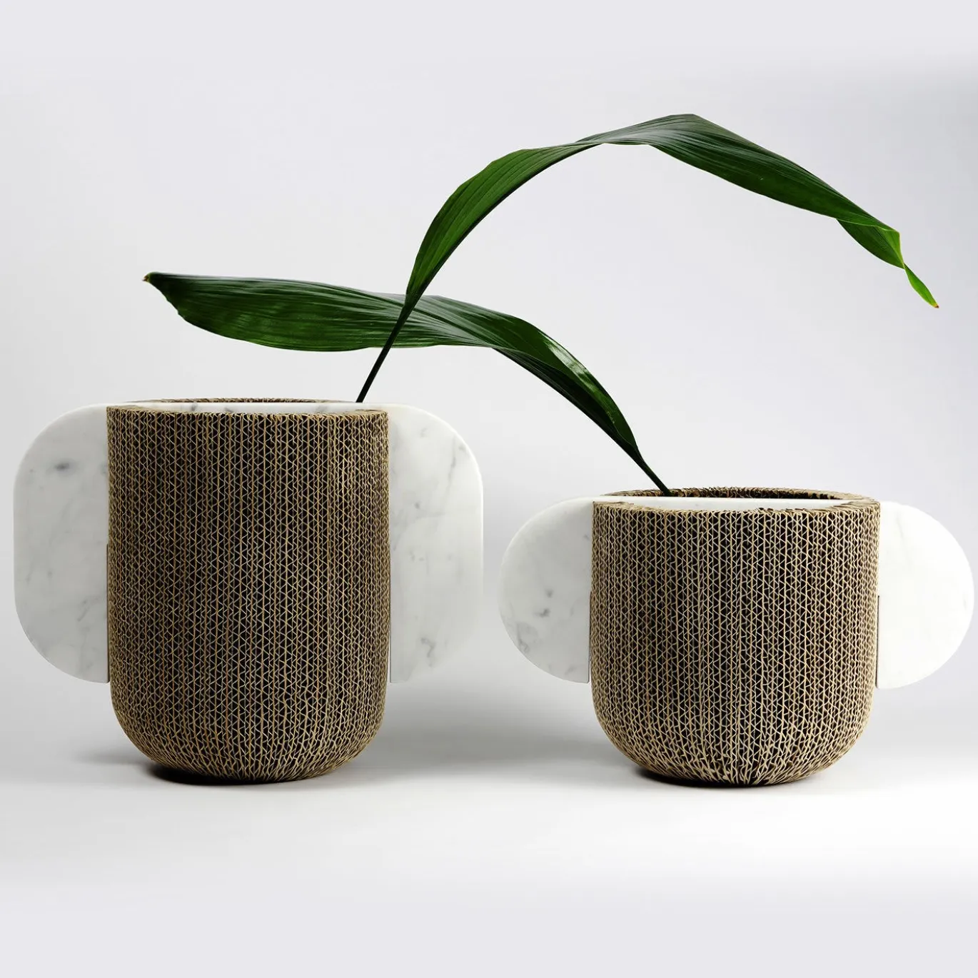 Vaso Confine #2