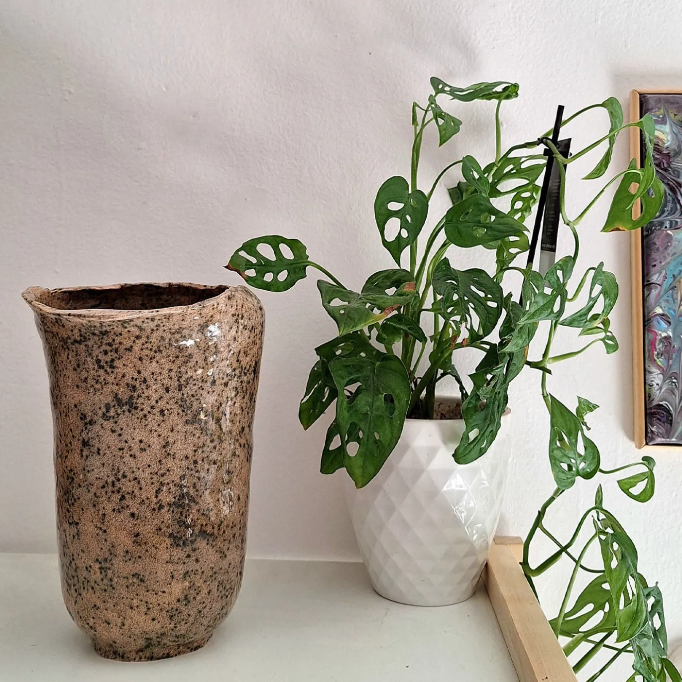 Vaso Decorativo Baobab in Ceramica Grigia e Bronzo