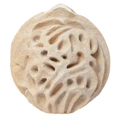 Vaso Decorativo Bianco Ossa Pesco