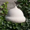 Vaso Decorativo Bianco Ossa Quercia