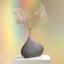 Vaso Decorativo Cloud in porcellana nera