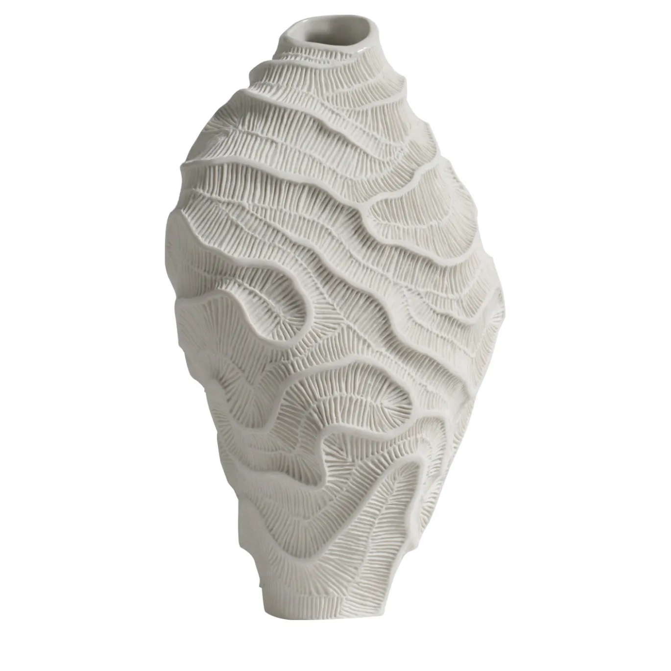 Vaso Decorativo in Ceramica Bianca Fossilia