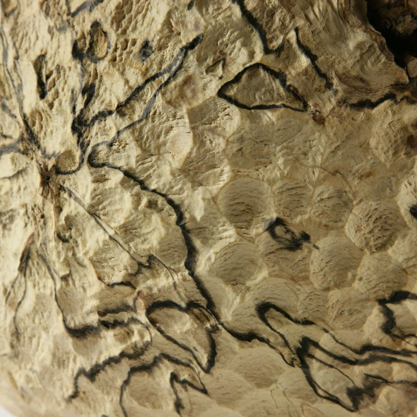 Vaso Decorativo in Legno Bombato con Effetto Smerigliato