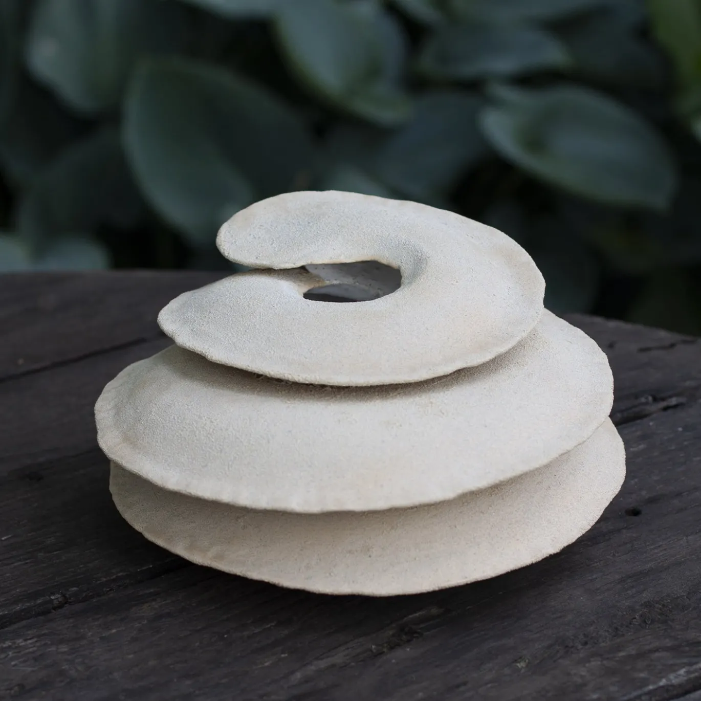 Vaso Decorativo Ossa Medicago Orbicolare in Grès Bianco