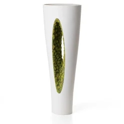 Vaso di muschio verde a rovescio