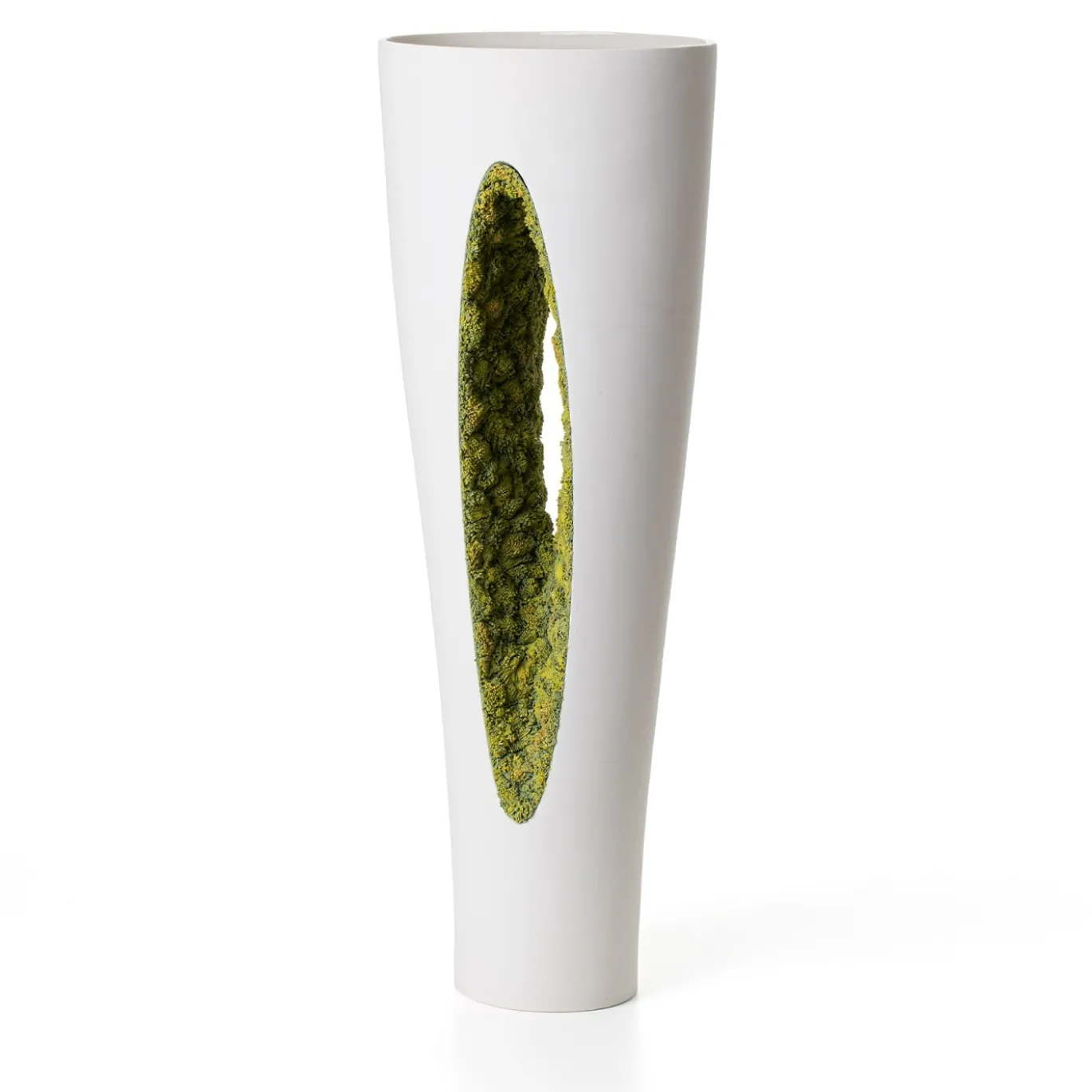 Vaso di muschio verde a rovescio