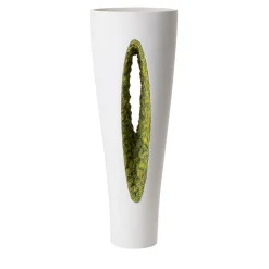 Vaso di muschio verde a rovescio