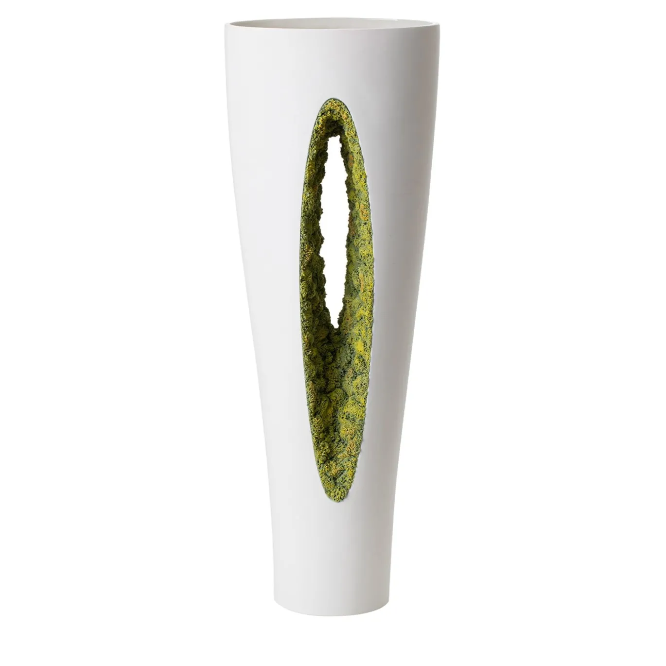 Vaso di muschio verde a rovescio