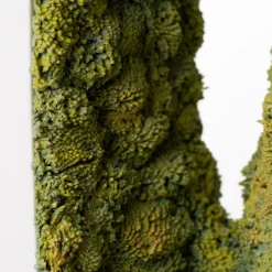 Vaso di muschio verde a rovescio