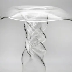 Vaso di papaveri viola