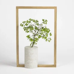Vaso Equilibrante