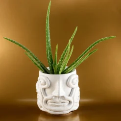 Vaso Eye Bianco