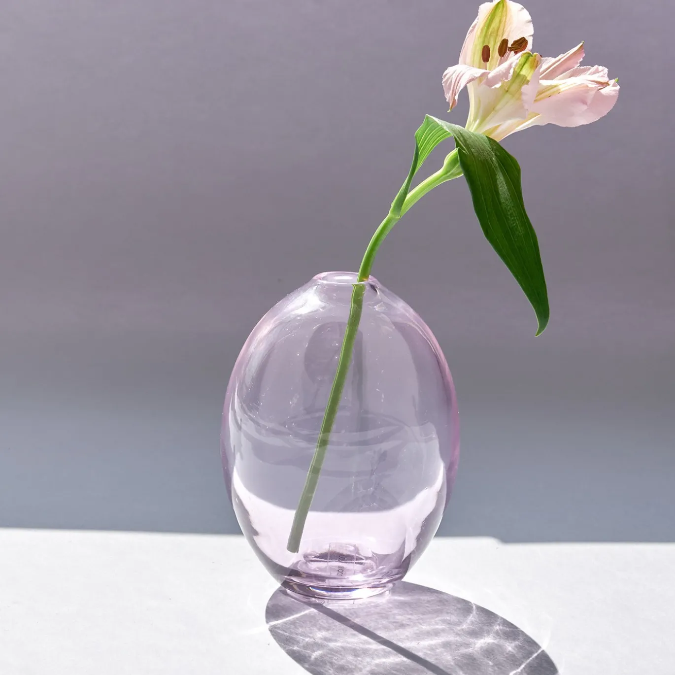 Vaso in cristallo soffiato a mano rosa Uovo