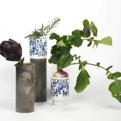 Vaso Innesto