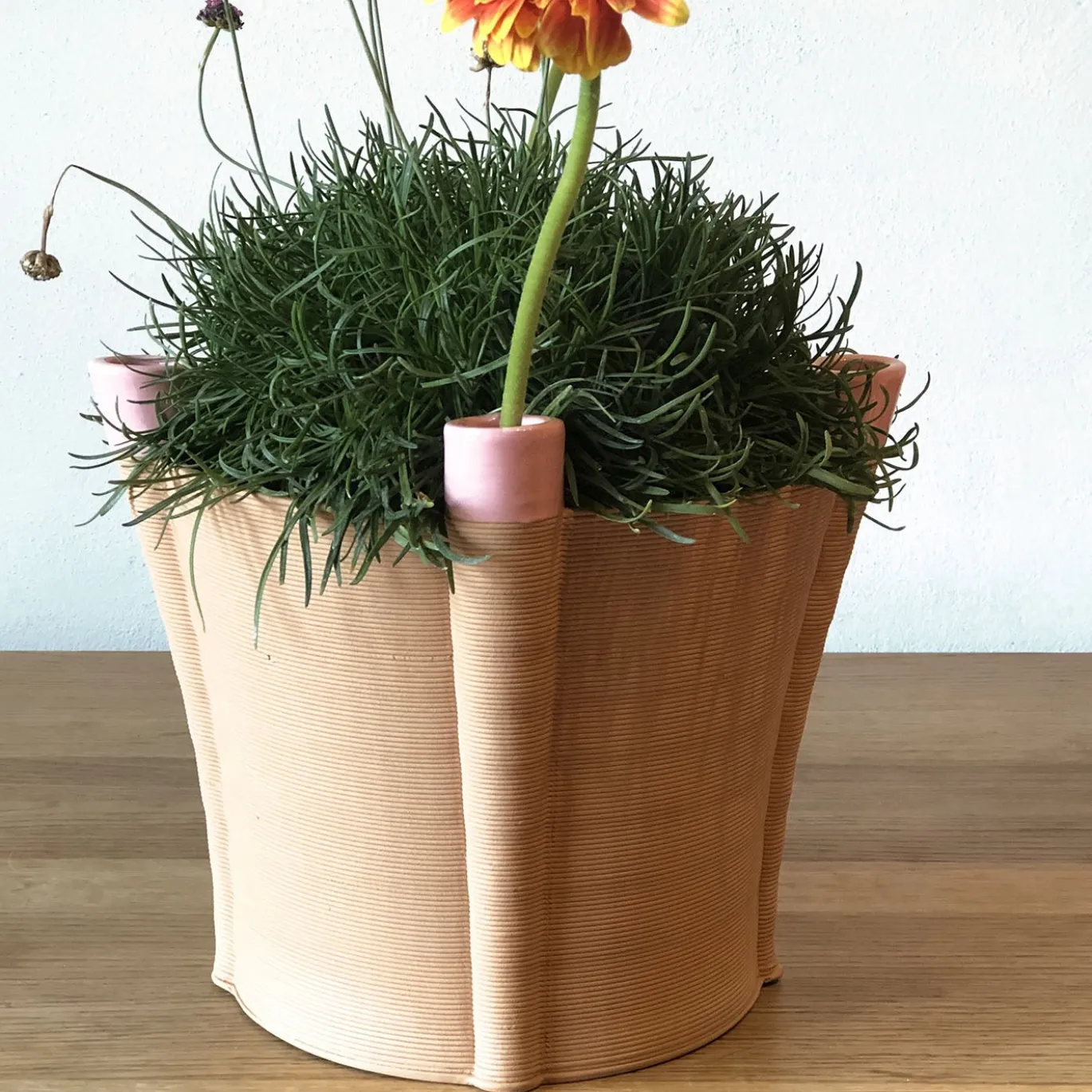 Vaso in Terracotta Rosa Ydra 3