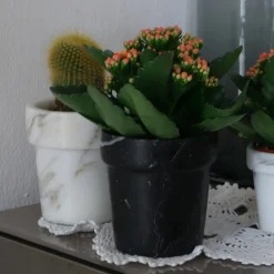 Vaso mini Cactus in marmo nero Marquina
