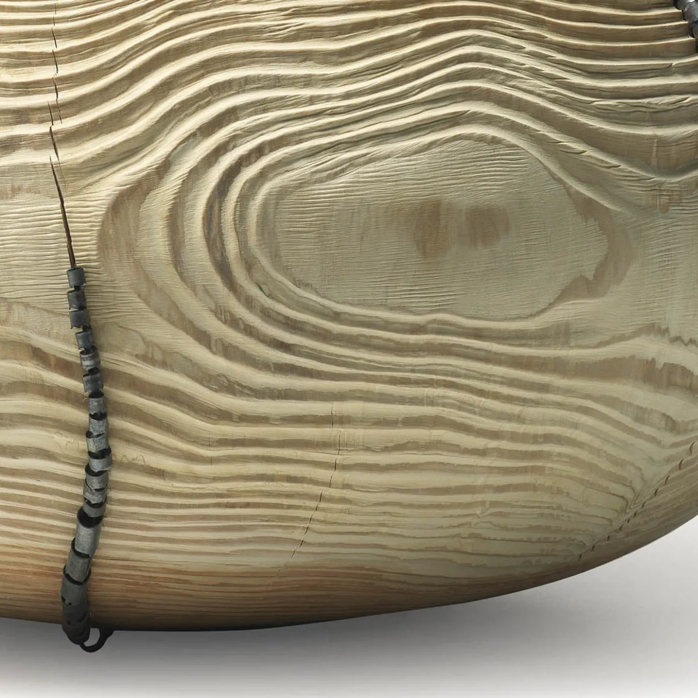 Vaso Mussidae #17