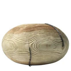 Vaso Mussidae #17