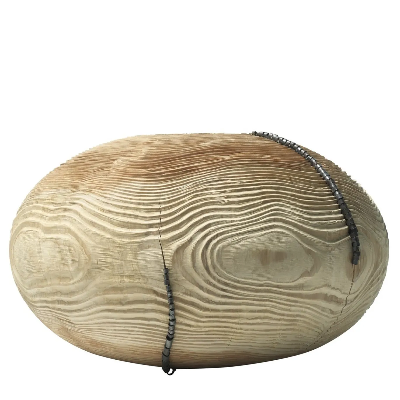 Vaso Mussidae #17