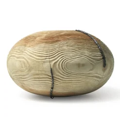 Vaso Mussidae #17